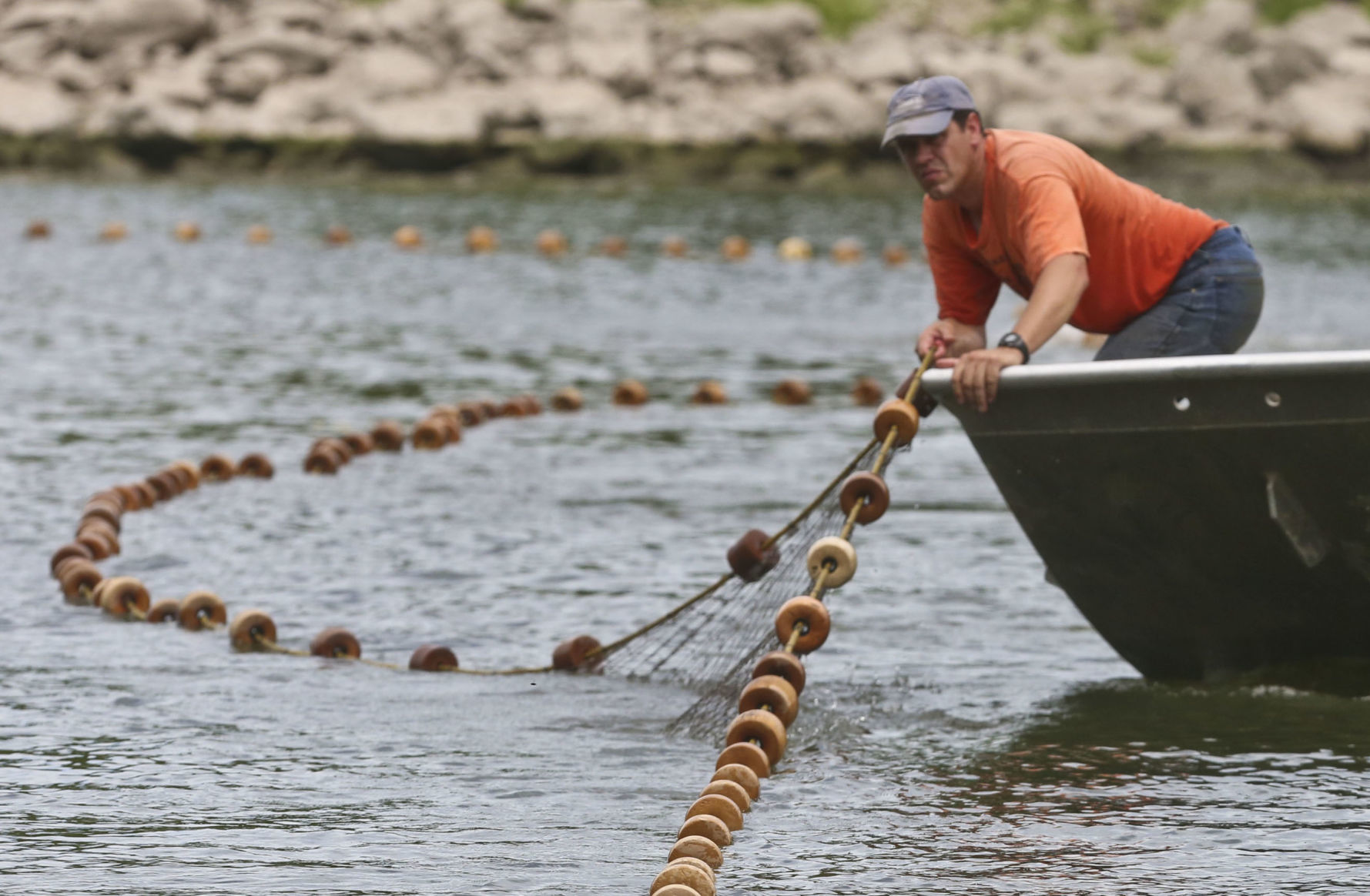 SECONDARY - Asian_Carp 6 7.15.19.JPG